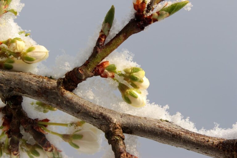 Equilibre ou équinoxe de printemps